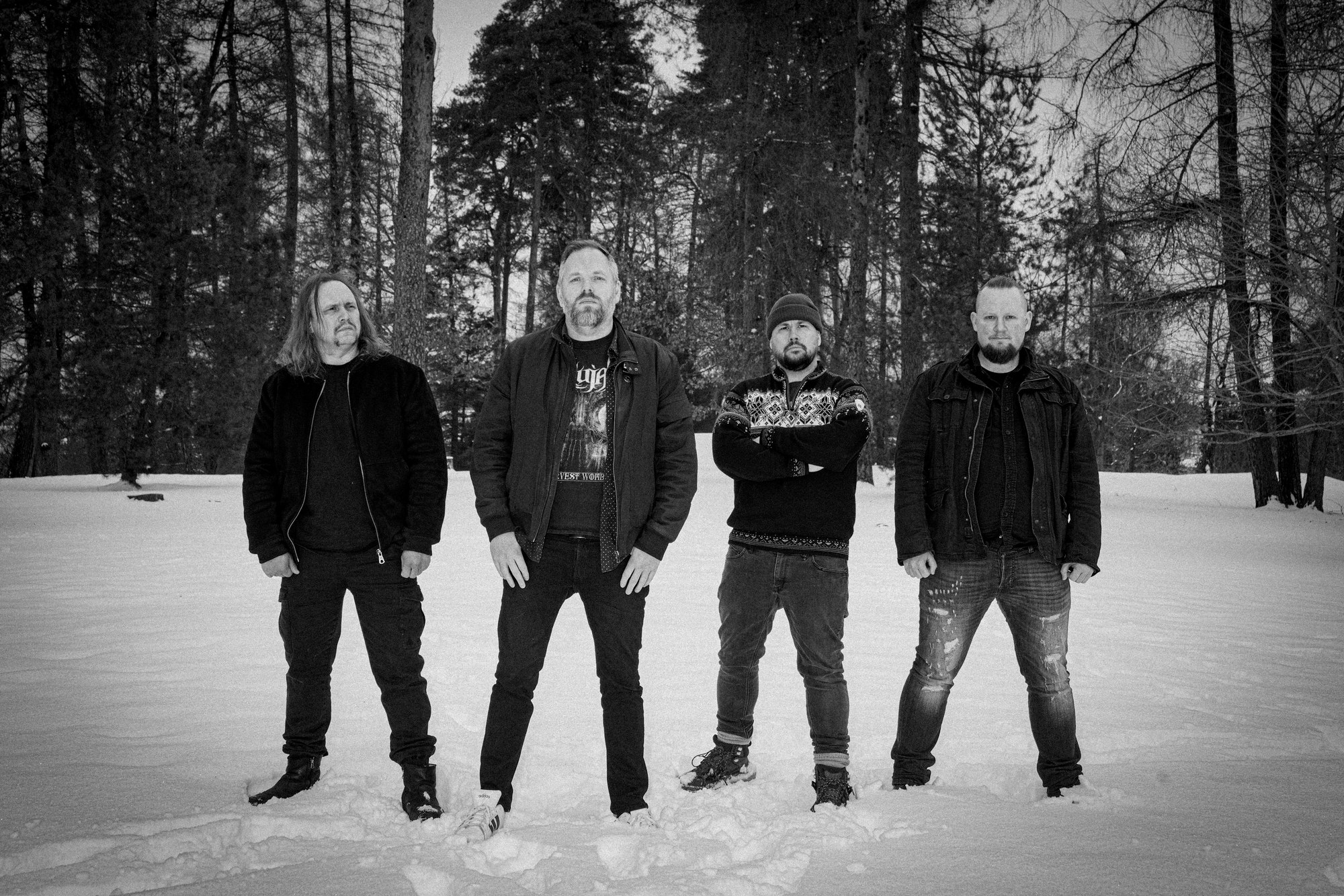 Vingulmork