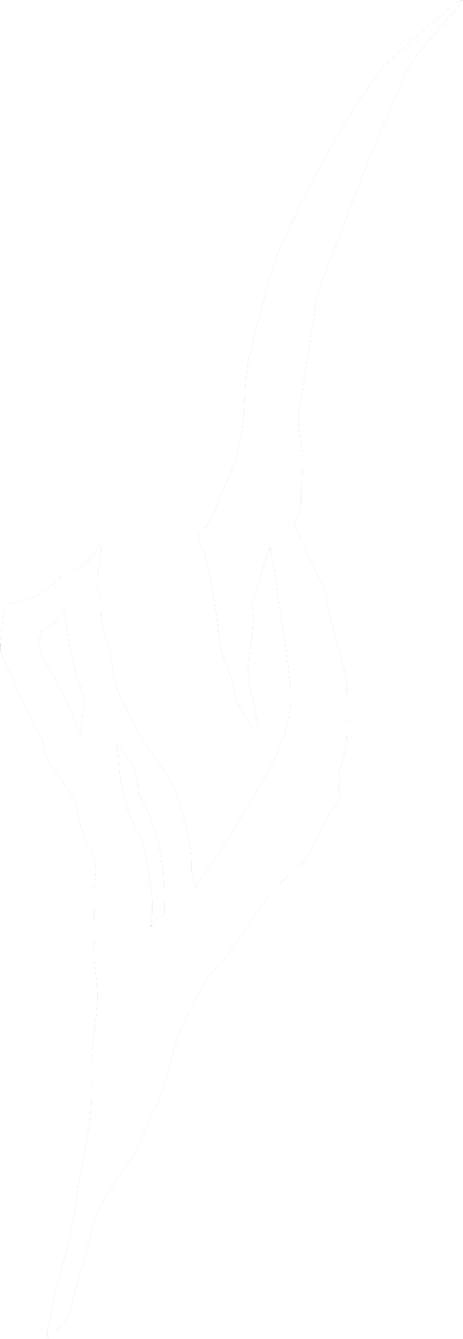 Vingulmork V monogram